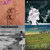 Sean Jensen-Grey thumbnail
