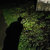 Chris Wakefield thumbnail